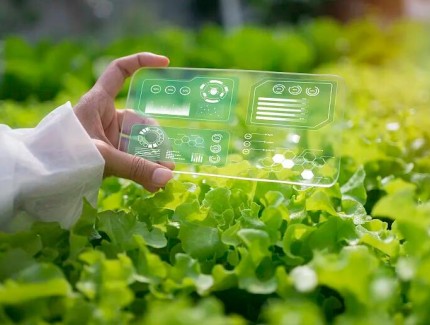 科路驰农业生态智能方舱——科技重塑农业发展新范式，赋能食用菌产业升级